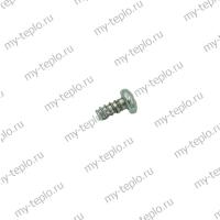 Винт M2,9х6,5 для котла Bosch WBN6000-24C (vint2965WBN600024C)